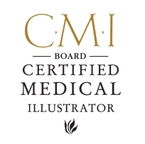 Certified Medical Illustrator